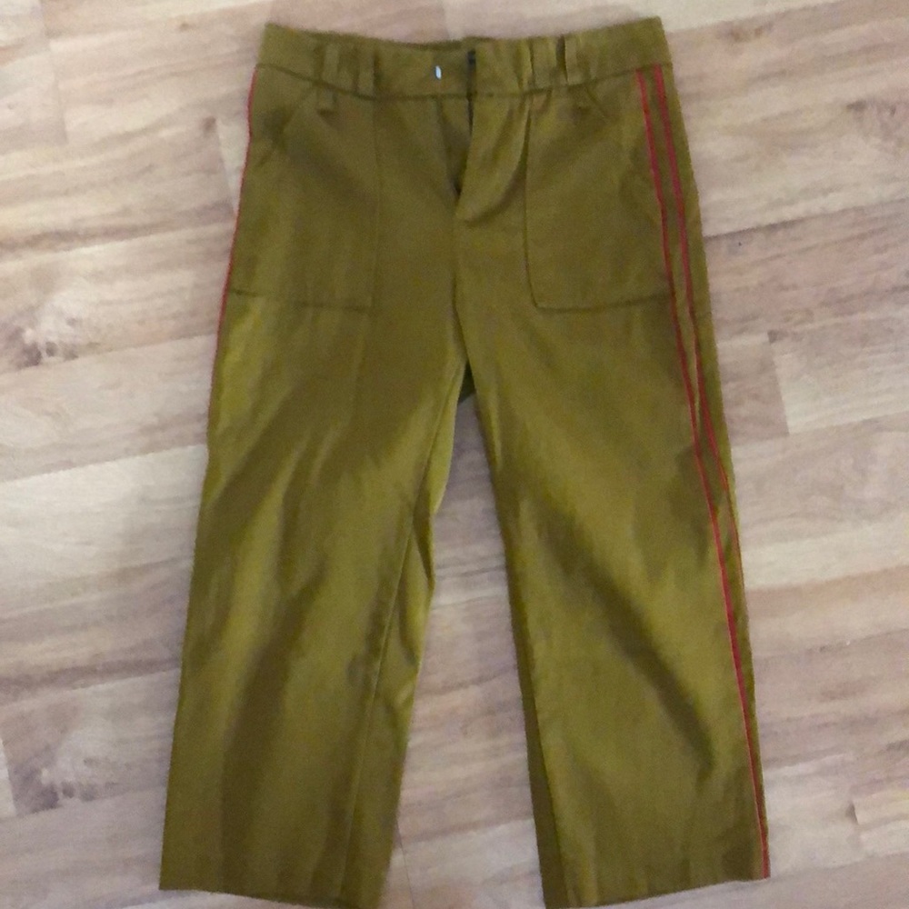 Zara Ankle pants